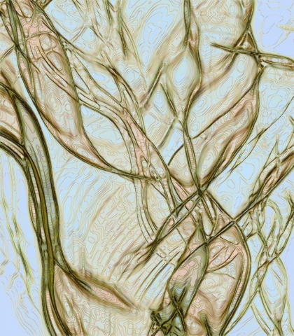 Water Thistles abstract IR photography